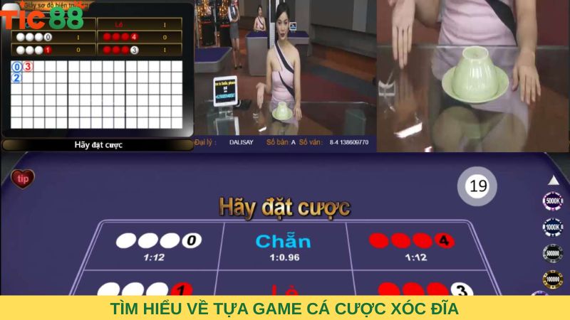 Tìm hiểu về tựa game cá cược xóc đĩa tại TIC88