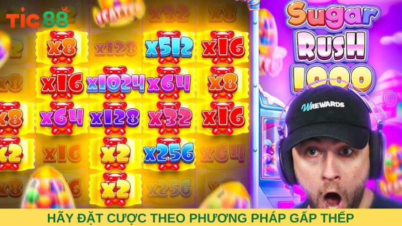 Hãy đặt cược theo phương pháp gấp thếp