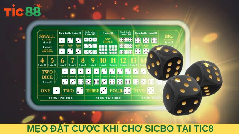 Mẹo đặt cược toàn thắng khi chơ Sicbo tại TIC88