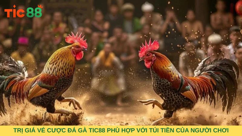 Trị giá vé cược đá gà TIC88 phù hợp với túi tiền của người chơi