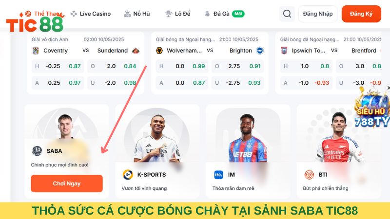Anh em có thể thỏa sức cá cược bóng chày tại sảnh SABA TIC88