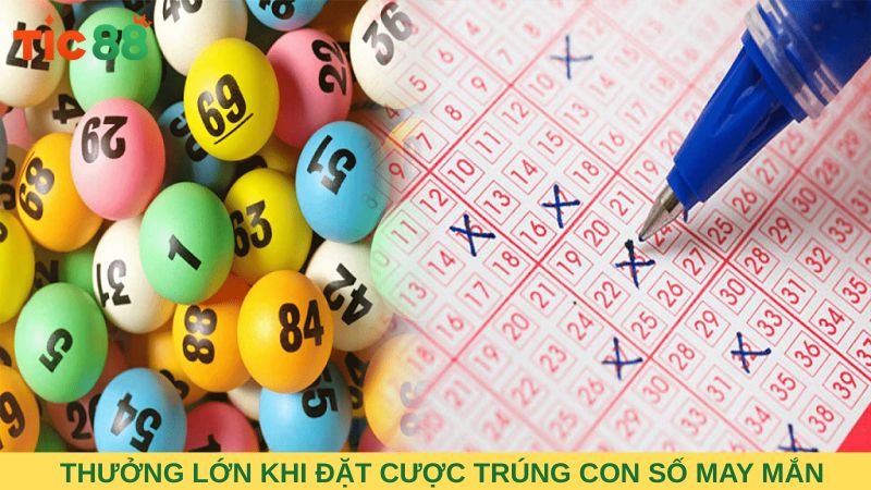Khả năng trúng thưởng lớn khi cược trúng con số may mắn