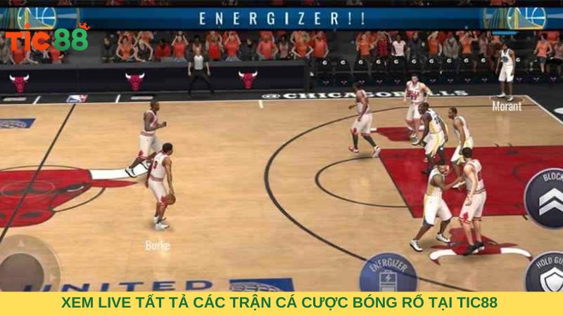 Có thể xem live tất tả các trận cá cược bóng rổ tại TIC88 